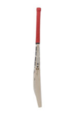 SS Professional English Willow Cricket Bat