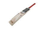 SS-Professional English Willow Cricket Bat SH
