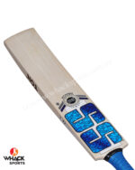 SS Premium English Willow Cricket Bat - SH