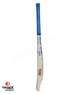 SS Premium English Willow Cricket Bat - SH