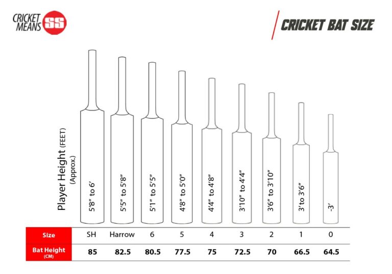 GG Smacker English Willow Cricket bat